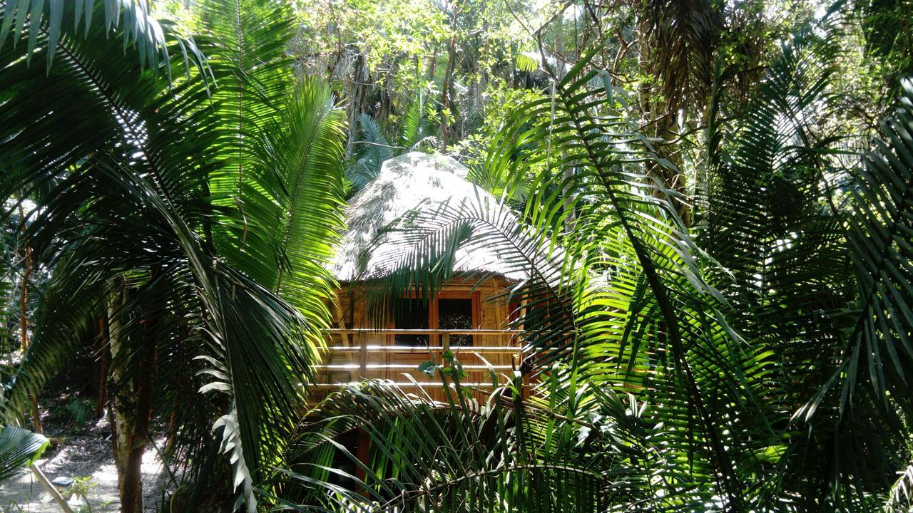 Aldea Bamboo Village ซานฟรานซิสโก ภายนอก รูปภาพ