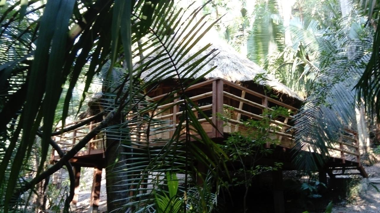 Aldea Bamboo Village ซานฟรานซิสโก ภายนอก รูปภาพ