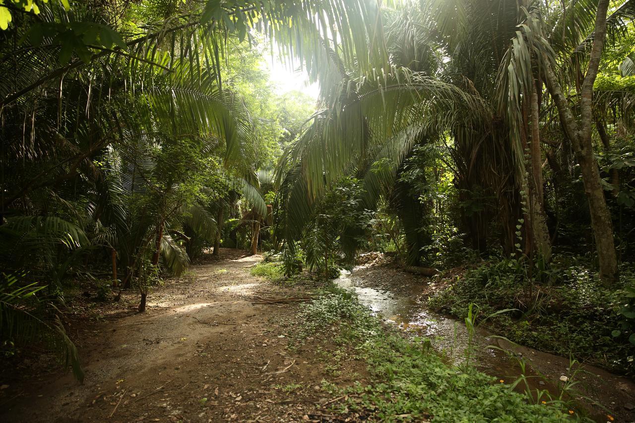 Aldea Bamboo Village ซานฟรานซิสโก ภายนอก รูปภาพ