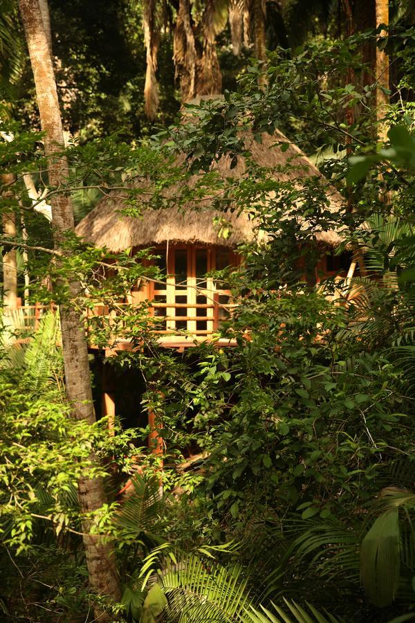 Aldea Bamboo Village ซานฟรานซิสโก ภายนอก รูปภาพ